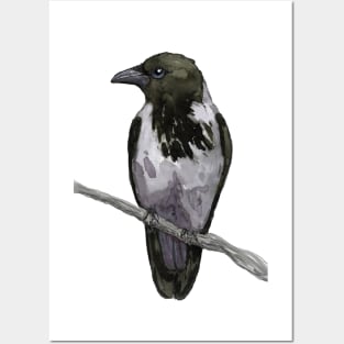 Hooded crow watercolor Posters and Art